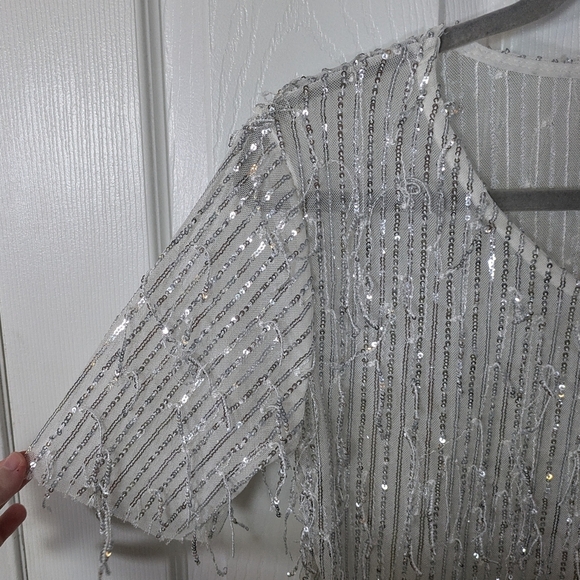 Silver Sequin Fringe Sheer Mesh Short Sleeve Sparkly Fun Party Blouse - Picture 6 of 6